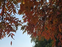 -浙江大学(紫金港校区)