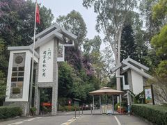 -三门江国家森林公园