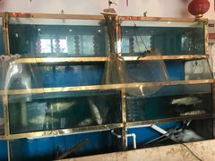 水产区-大酒缸(高碑店文化新大街店)