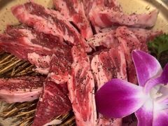 -围炉肉舍丹东海鲜烤肉·烤活鳗(步行街店)