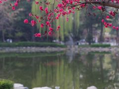 -木塔寺遗址生态公园