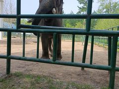 -秦皇岛野生动物园