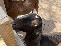 -水上乐园·欢乐世界