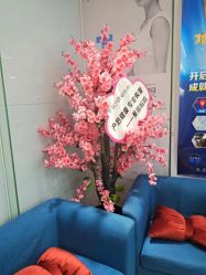 -馨美女性健康管理中心