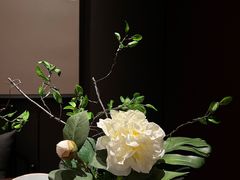 -海派悦庭·海胆烧麦·新融合菜(凯德广场店)