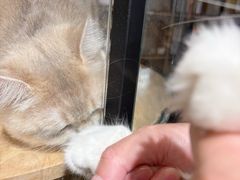 -瑞虹新天地月亮湾