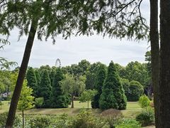 -宜兴龙背山森林公园