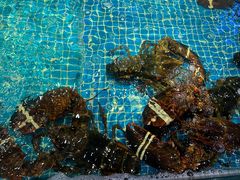 -驻海渔市(置信店)