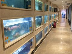-顺峰(农展馆店)