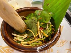 凉拌折耳根-云海肴·汽锅鸡·云南菜(苏州中心店)