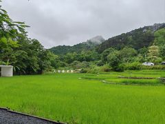-明仕田园