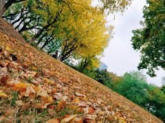 -白塘生态植物园