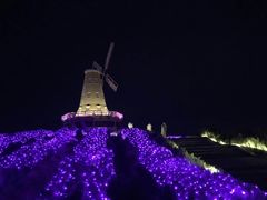 -大塘金香草谷