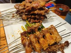 -鼎原力量东北吊炉烧烤(临河街店)