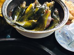 嘎鱼-姥家大锅台水库渔家