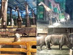 -鄂尔多斯野生动物园