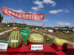 -长春农博园