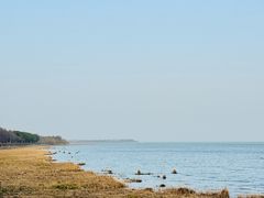 -贡湖湾湿地公园