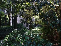 -上海崇明金茂凯悦酒店