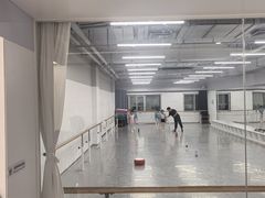 -舞蕾舞蹈(特长生校区)