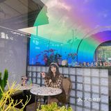 东莞宠物友好店|带着狗狗在森林里下午茶