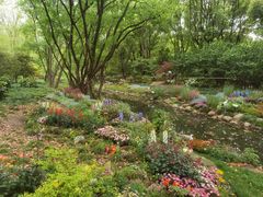 -上海共青森林公园