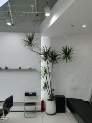 -FINE HAIR 烫染专业设计