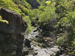 -云岫谷游猎自然风景区