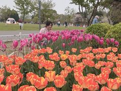 -玄武湖景区-情侣园游乐场