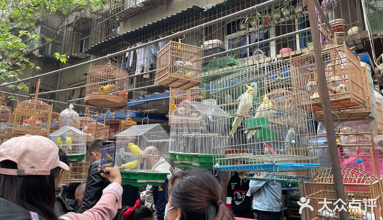 西仓记忆，感受浓厚的生活气息来这里