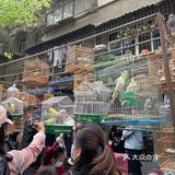 西仓记忆，感受浓厚的生活气息来这里