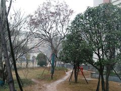 -长沙市青少年宫