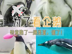 -大连圣亚海洋世界
