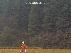 -常德桃花源景区
