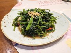 飞天空心菜-苏梅花园(群星城店)