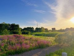 -天津东丽湖风景区