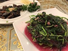 蒜泥苋菜-新聚丰菜馆(太监弄店)