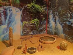 -多彩贵州城极地海洋世界