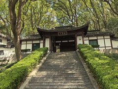 -上海佘山国家森林公园天马山园