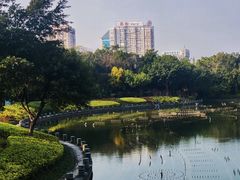 -南宁南湖公园