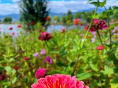 -野鸭湖国家湿地公园