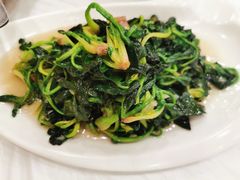 -庐州太太(双岗店)