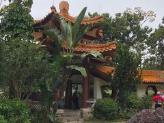 -深圳仙湖植物园