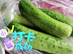 老板自种果蔬-途肴·老农饭庄(百里峡店)