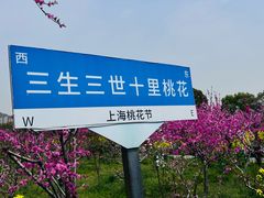 -南汇桃花村