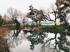 -杭州西湖柳莺里酒店