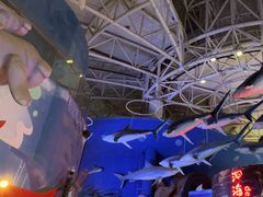 -烟台海昌鲸鲨海洋公园