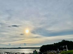 -宝安西湾红树林湿地公园