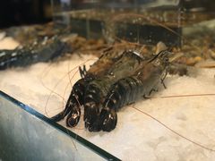 -Ministry of Crab(科伦坡店)