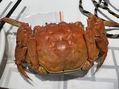 -靓虾二哥·龙虾馆(大塘总店)
